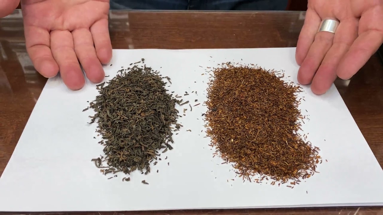 T Vs Rooibos Descubre Las Diferencias Entre Estas Infusiones Tea T