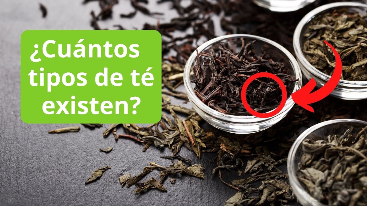 Descubre la respuesta definitiva: ¡Cuántos tipos de té existen ...